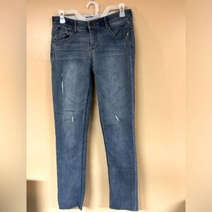 Democracy “Ab” solution Vintage High Rise Jeans Sz 2